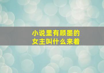 小说里有顾墨的女主叫什么来着