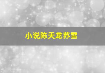 小说陈天龙苏雪