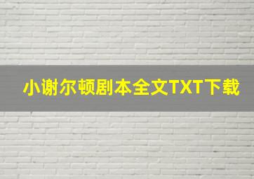 小谢尔顿剧本全文TXT下载