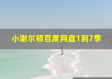 小谢尔顿百度网盘1到7季