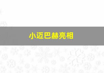 小迈巴赫亮相