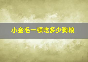 小金毛一顿吃多少狗粮