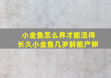 小金鱼怎么养才能活得长久小金鱼几岁龄能产卵