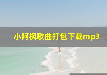 小阿枫歌曲打包下载mp3