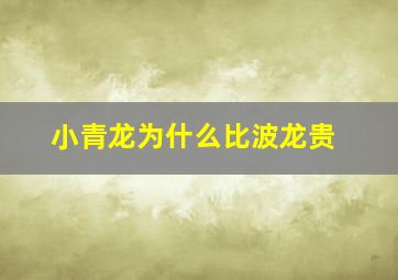 小青龙为什么比波龙贵