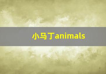 小马丁animals