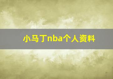 小马丁nba个人资料