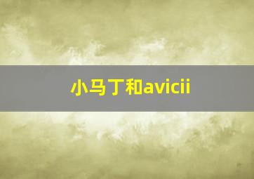 小马丁和avicii