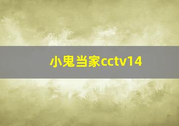 小鬼当家cctv14