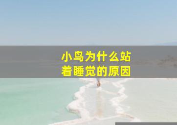 小鸟为什么站着睡觉的原因