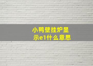 小鸭壁挂炉显示e1什么意思