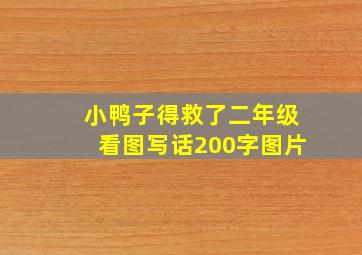 小鸭子得救了二年级看图写话200字图片