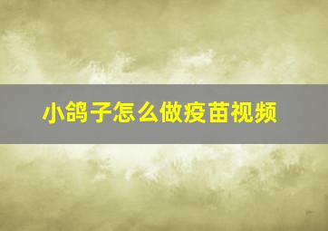 小鸽子怎么做疫苗视频