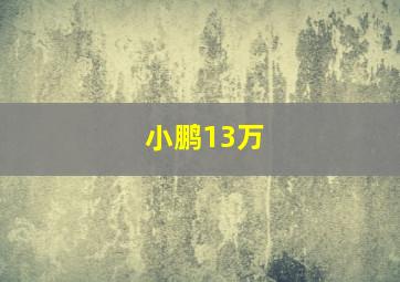 小鹏13万