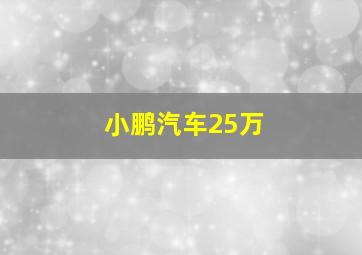 小鹏汽车25万