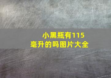 小黑瓶有115毫升的吗图片大全