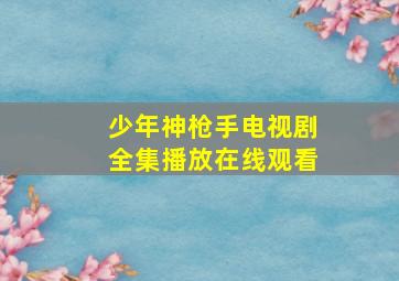 少年神枪手电视剧全集播放在线观看