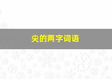 尖的两字词语