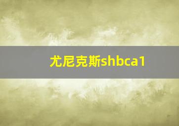 尤尼克斯shbca1