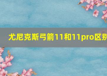 尤尼克斯弓箭11和11pro区别