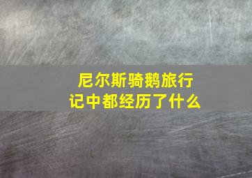 尼尔斯骑鹅旅行记中都经历了什么