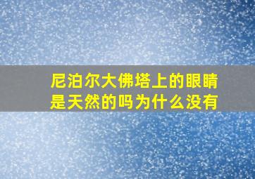 尼泊尔大佛塔上的眼睛是天然的吗为什么没有