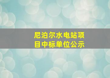 尼泊尔水电站项目中标单位公示