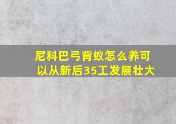 尼科巴弓背蚁怎么养可以从新后35工发展壮大