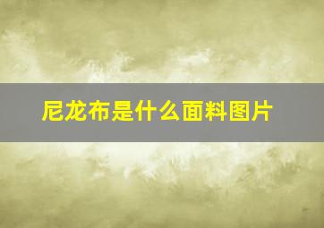 尼龙布是什么面料图片