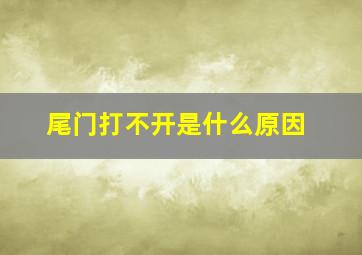 尾门打不开是什么原因