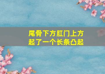 尾骨下方肛门上方起了一个长条凸起