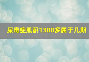 尿毒症肌酐1300多属于几期