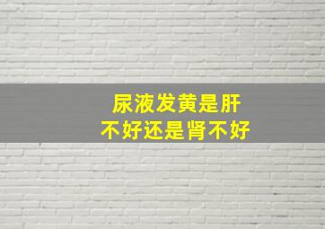 尿液发黄是肝不好还是肾不好