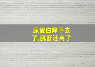 尿蛋白降下去了,肌酐还高了