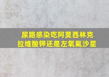 尿路感染吃阿莫西林克拉维酸钾还是左氧氟沙星