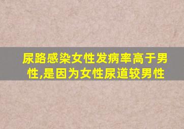 尿路感染女性发病率高于男性,是因为女性尿道较男性