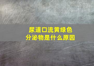 尿道口流黄绿色分泌物是什么原因