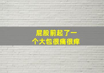 屁股前起了一个大包很痛很痒