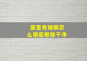 屋里有蟑螂怎么彻底根除干净