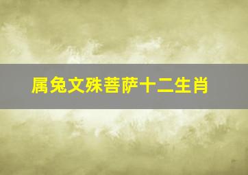 属兔文殊菩萨十二生肖