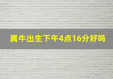 属牛出生下午4点16分好吗