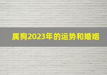 属狗2023年的运势和婚姻