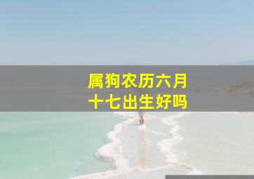 属狗农历六月十七出生好吗