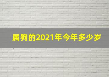 属狗的2021年今年多少岁