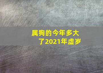 属狗的今年多大了2021年虚岁