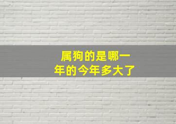 属狗的是哪一年的今年多大了