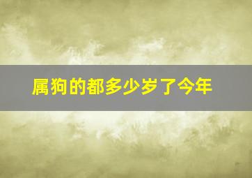 属狗的都多少岁了今年