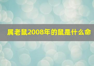 属老鼠2008年的鼠是什么命