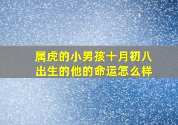 属虎的小男孩十月初八出生的他的命运怎么样