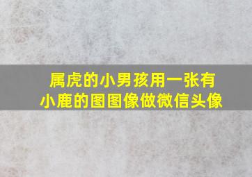 属虎的小男孩用一张有小鹿的图图像做微信头像